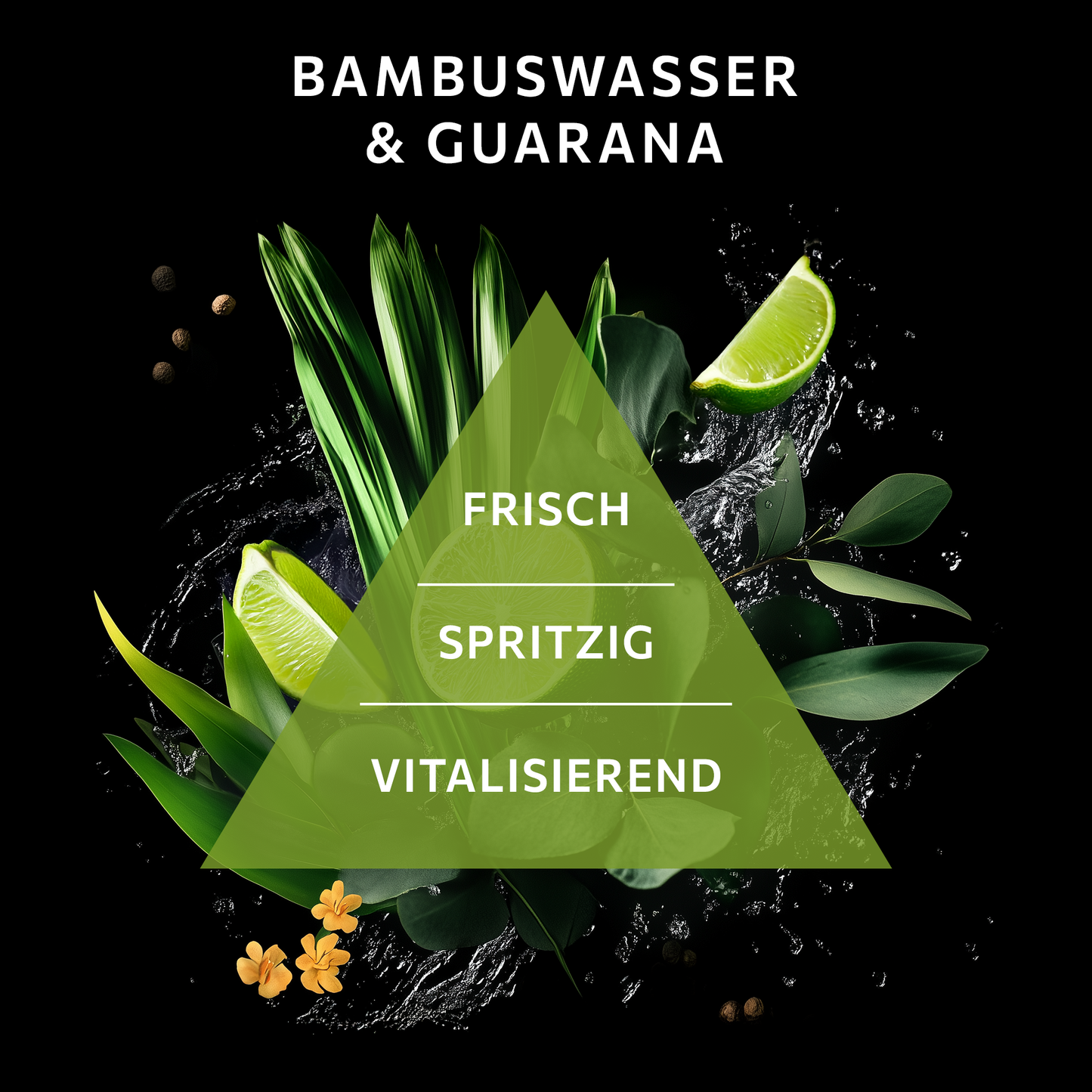 Die Duftwelt von VADNINI JUNGLE TRAIL mit Bambuswasser und Guarana wird als frisch, spritzig und vitalisierend beschrieben