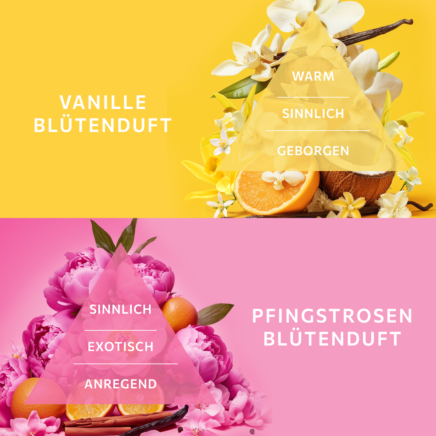 Geschenkset Mini Laternen  NUTRI + COMFORT